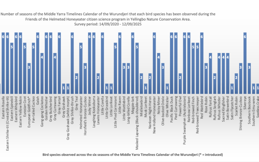 5 years of citizen science bird survey data_all seasons_14 Sept 2020 – 12 Sept 2025 incl