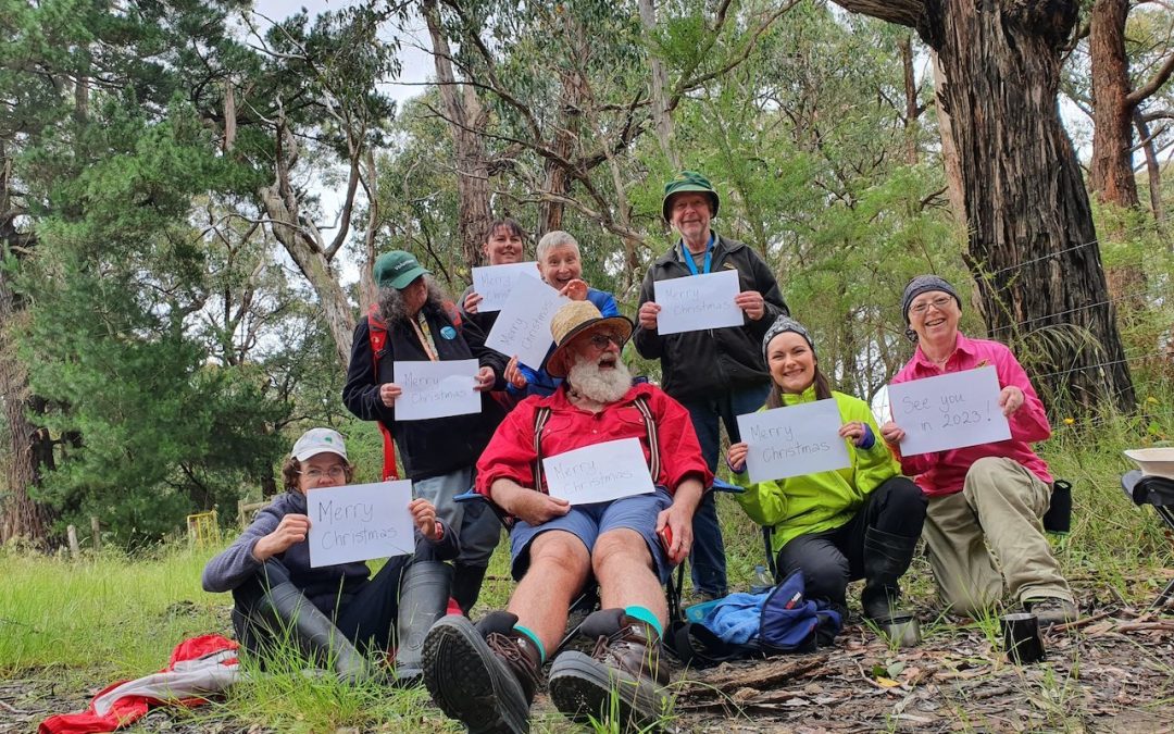 Volunteers-Flora survey Track 5 YNCA 2022-1215 1.3 (image S.Tardif)