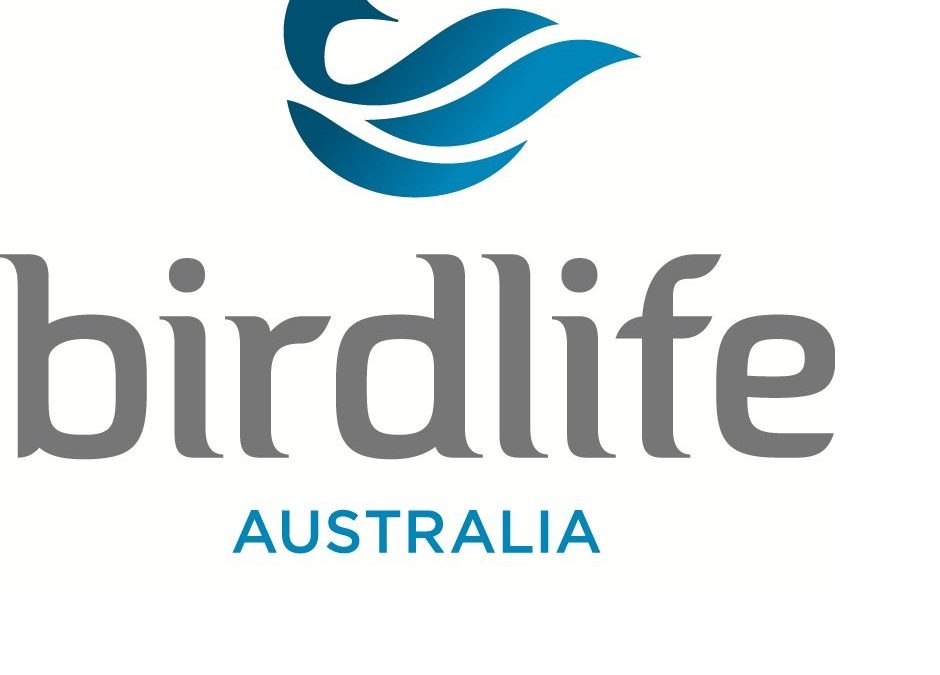 birdlife logo with more white_2