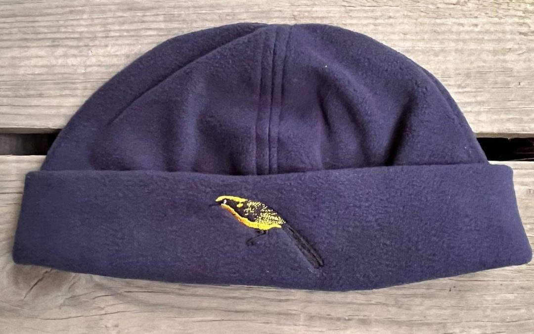 navy beanie