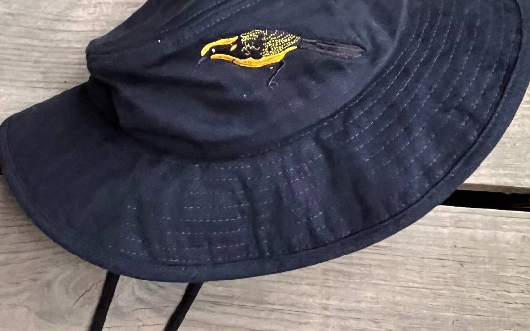 navywidebrim